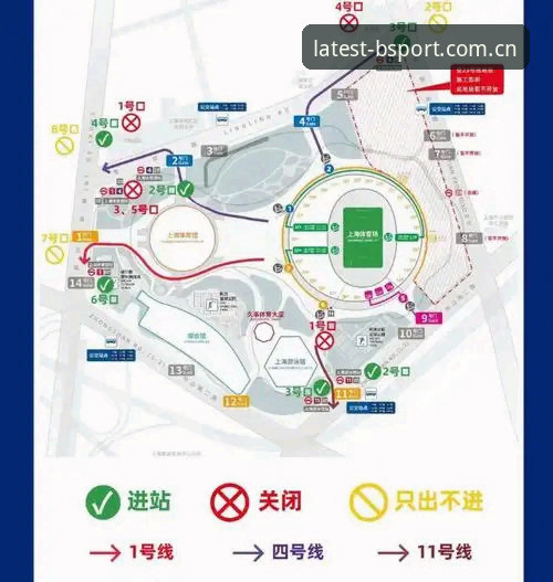 b体育官方正版下载与安装完整指南：全方位对比与使用教程